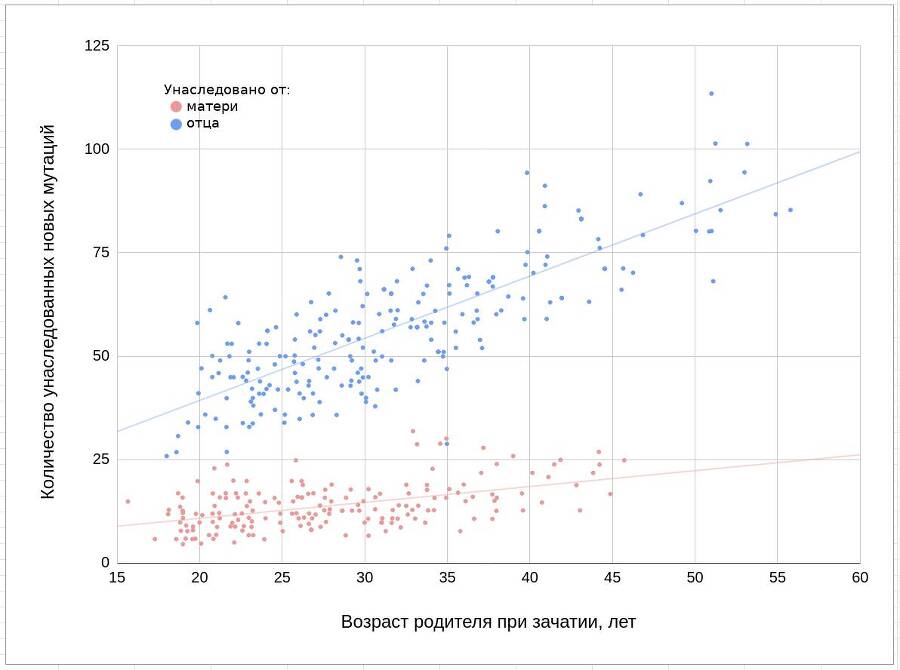 Опыт частного репродуктивного донора - _5.jpg