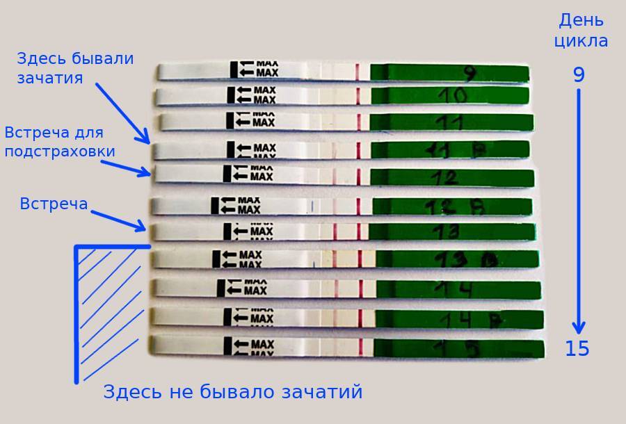 Опыт частного репродуктивного донора - _7.jpg