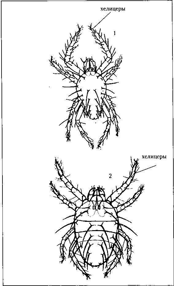 Тайная жизнь вредителей - img_7.png