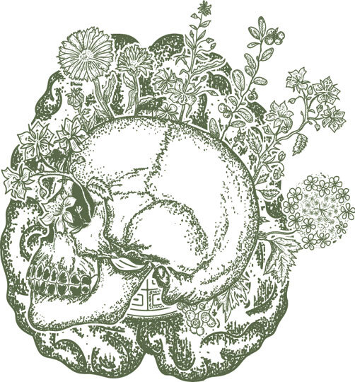 Чумовой психиатр. Пугающая и забавная история психиатрии - i_001.jpg