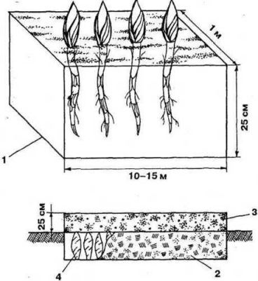 Вертикальные грядки: сопки, грядки-рабатки - img_37.png