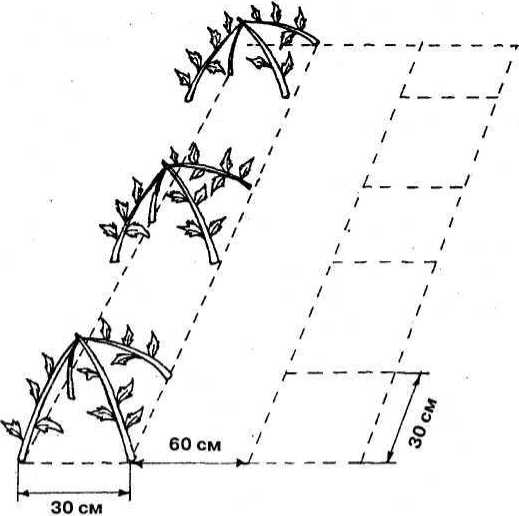Вертикальные грядки: сопки, грядки-рабатки - img_46.jpeg