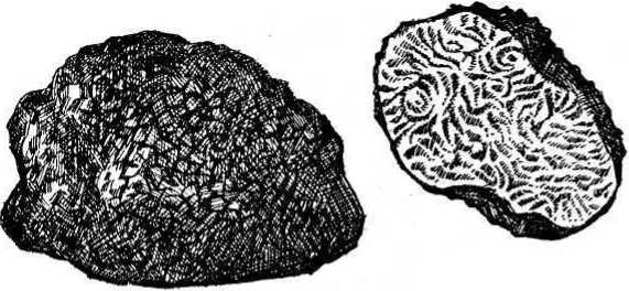 Вертикальные грядки: сопки, грядки-рабатки - img_51.jpeg