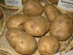 Статьи по выращиванию картофеля - img_2.jpeg