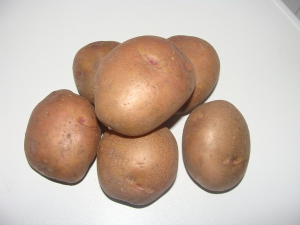Статьи по выращиванию картофеля - img_45.jpeg