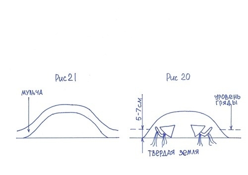 Статьи по выращиванию картофеля - img_72.jpeg