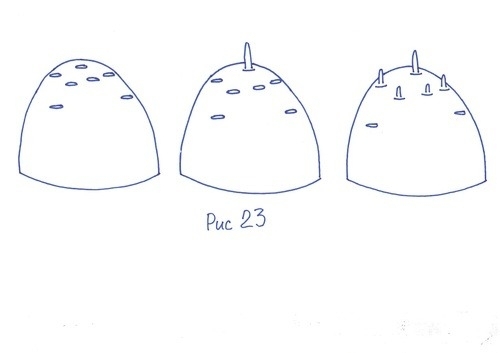Статьи по выращиванию картофеля - img_74.jpeg