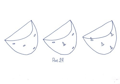 Статьи по выращиванию картофеля - img_75.jpeg