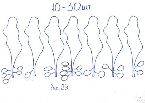 Статьи по выращиванию картофеля - img_80.jpeg