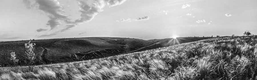 Ибо однажды придёт к тебе шуршик… - _3.jpg