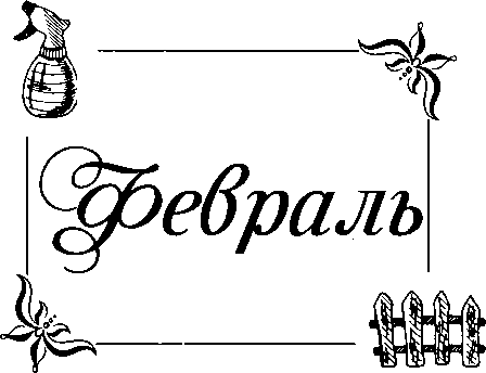 Эко-Календарь. Здоровый сад и огород за один год - img_2.png