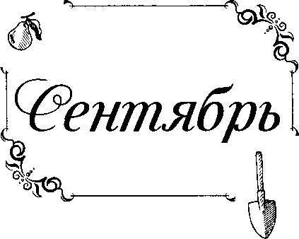 Эко-Календарь. Здоровый сад и огород за один год - img_9.png