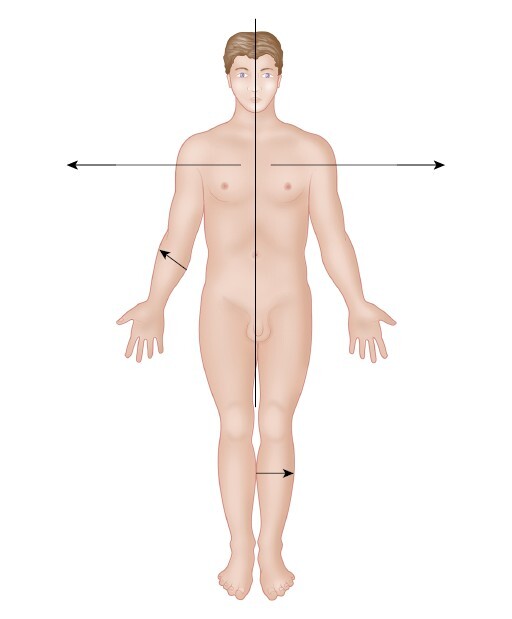 Анатомия мышц: иллюстрированный справочник - i_009.jpg