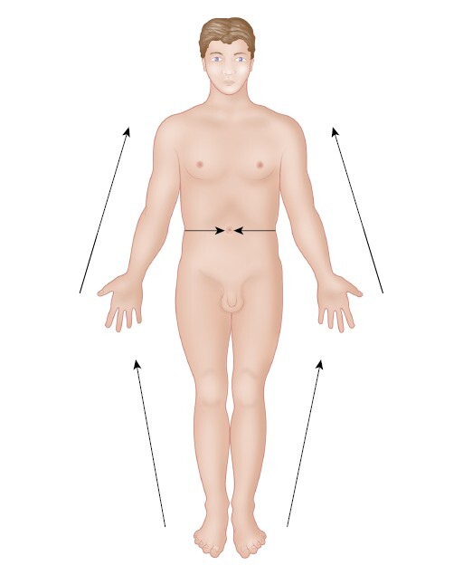Анатомия мышц: иллюстрированный справочник - i_010.jpg