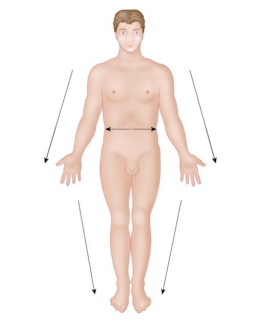 Анатомия мышц: иллюстрированный справочник - i_011.jpg