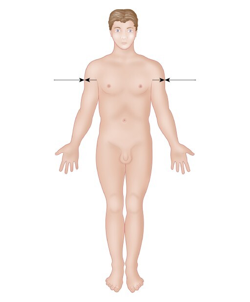 Анатомия мышц: иллюстрированный справочник - i_012.jpg