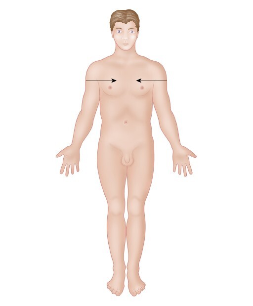 Анатомия мышц: иллюстрированный справочник - i_013.jpg