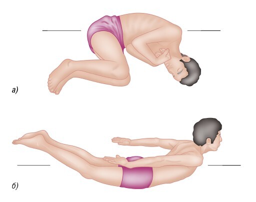 Анатомия мышц: иллюстрированный справочник - i_020.jpg