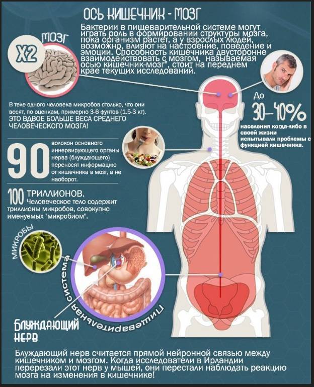 Микробиотная гипотеза происхождения и деятельности души - _6.jpg