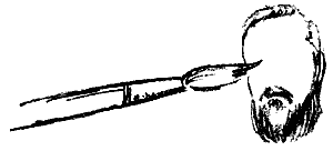 Сливки. Портреты выдающихся современников кисти А.Никонова. - i_005.png