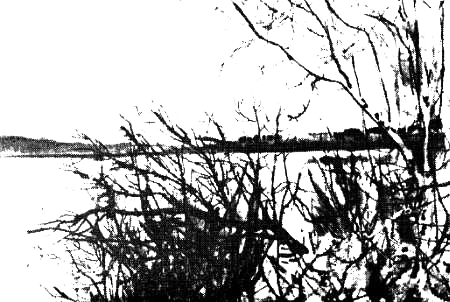 Васюган — река удачи - _00kopija.png_29