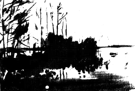 Васюган — река удачи - _00kopija.png_30