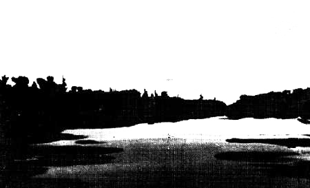 Васюган — река удачи - _00kopija.png_31