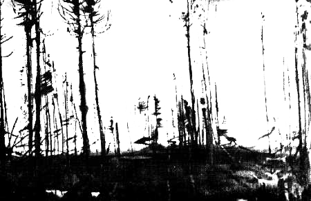 Васюган — река удачи - _00kopija.png_32