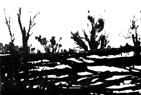 Васюган — река удачи - _00kopija.png_33