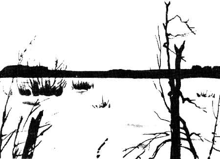 Васюган — река удачи - _00kopija.png_34