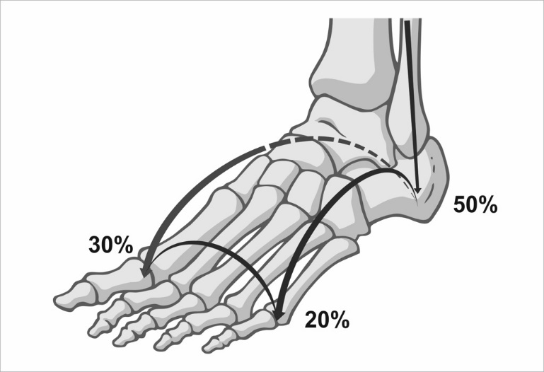 Стопа балерины - _20.jpg