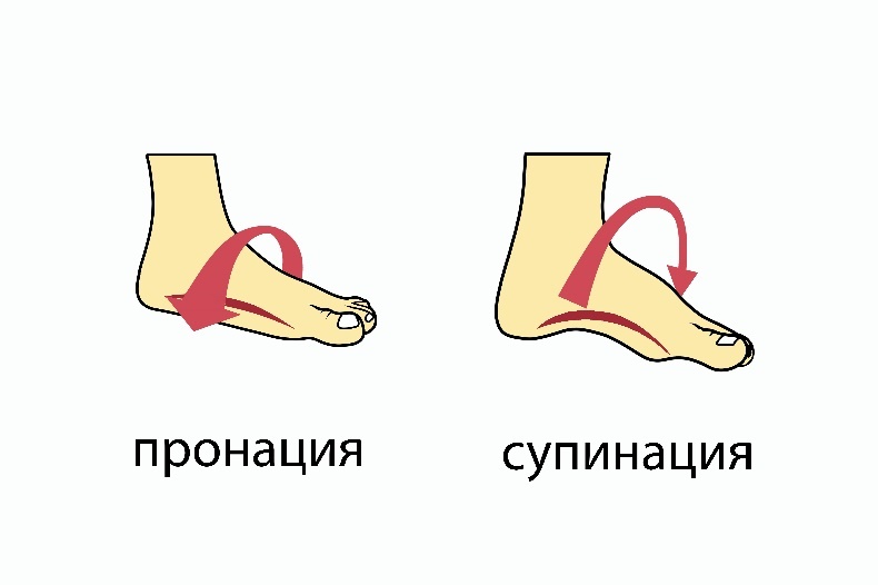 Стопа балерины - _21.jpg