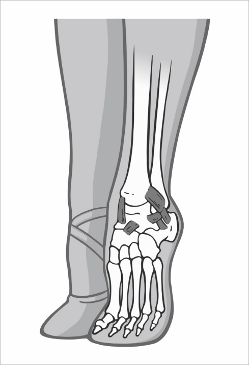 Стопа балерины - _25.jpg