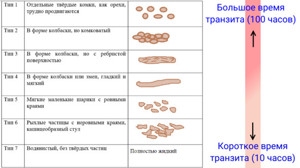 Как улучшить пищеварение. То, о чём мало говорят врачи - image5_64ac0730425a84000780f46d_jpg.jpeg