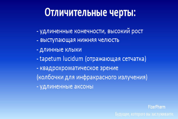 Одомашнивание вампиров: Приручая вчерашние кошмары ради светлого будущего (ЛП) - i_015.jpg