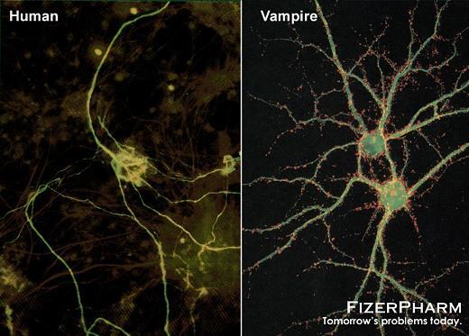 Одомашнивание вампиров: Приручая вчерашние кошмары ради светлого будущего (ЛП) - i_016.jpg