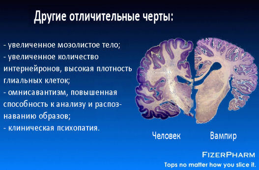 Одомашнивание вампиров: Приручая вчерашние кошмары ради светлого будущего (ЛП) - i_017.jpg