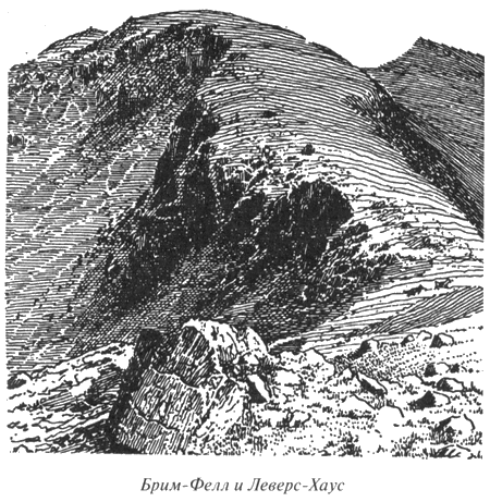 Чумные псы - i_003.png