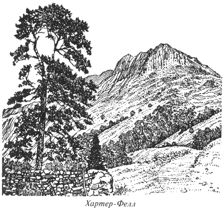 Чумные псы - i_008.png