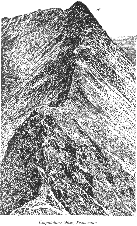 Чумные псы - i_016.png