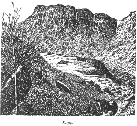 Чумные псы - i_023.png