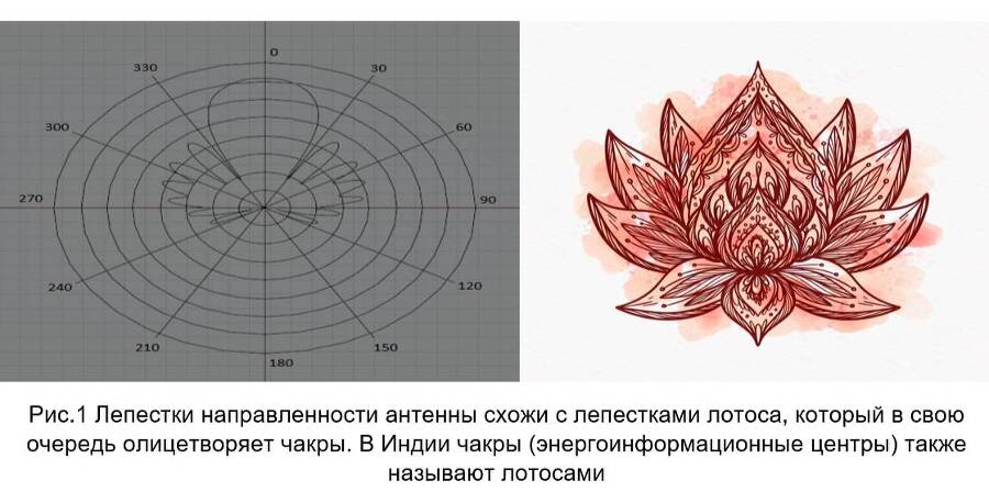 Чакры (лотосы) человека и диаграмма направленности («лепестки») антенн - _0.jpg