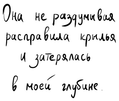 На минном поле расцвели сады. Сила нежных стихов - i_007.jpg