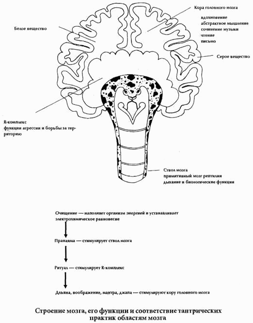 Инструменты для Тантры - i_002.png