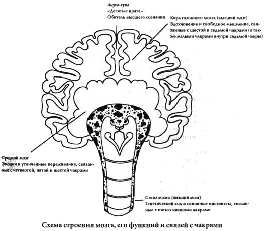 Чакры: энергетические центры трансформации - i_001.png