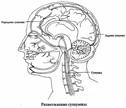 Чакры: энергетические центры трансформации - i_006.png