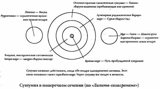 Чакры: энергетические центры трансформации - i_008.png