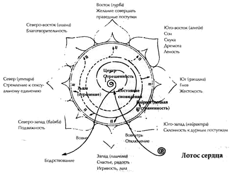 Чакры: энергетические центры трансформации - i_015.png