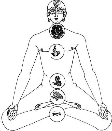 Чакры: энергетические центры трансформации - i_026.png