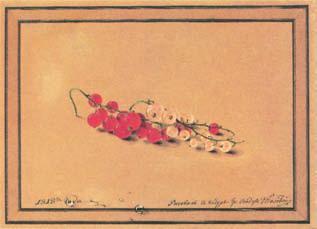 Энциклопедия «Искусство». Часть 4. Р-Я (с иллюстрациями) - i_1165.jpg